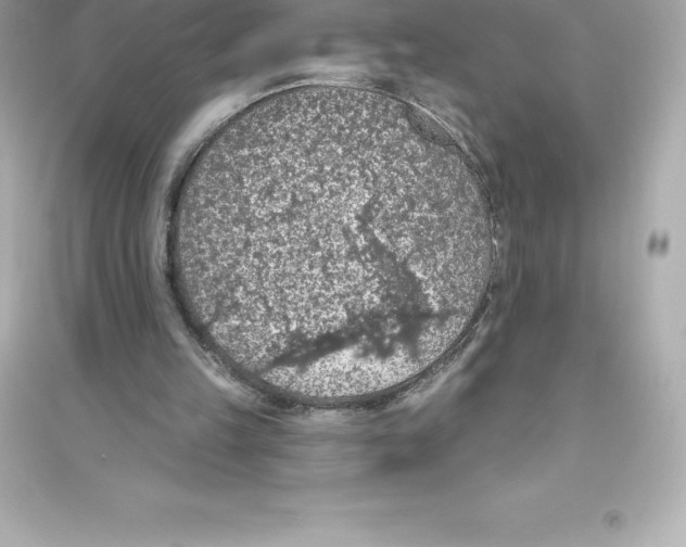 X0000093620149200711121244