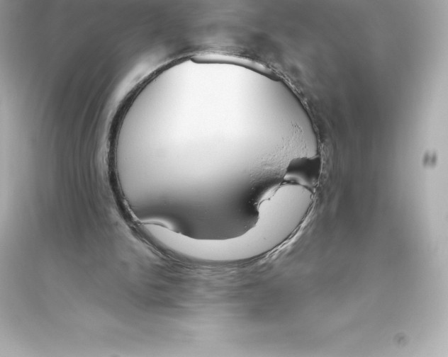 X0000093620150200711121244