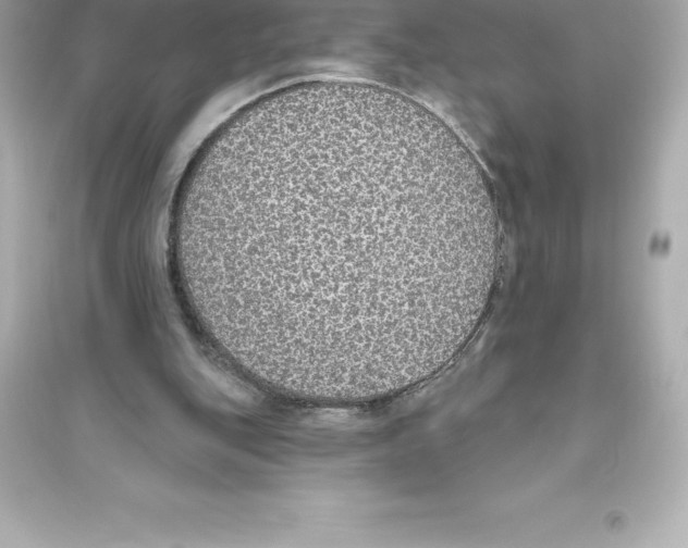 X0000093620151200711121244