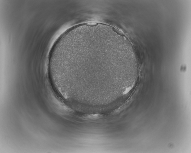 X0000093620152200711121244