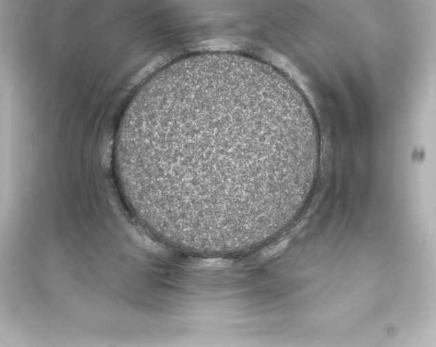 X0000093620153200711121244