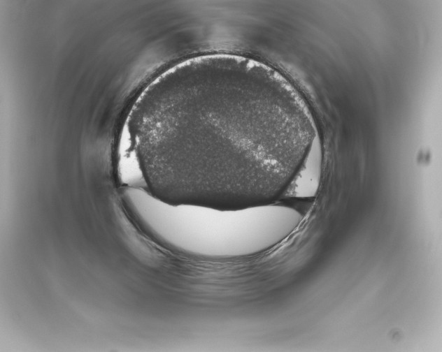 X0000093620154200711121244