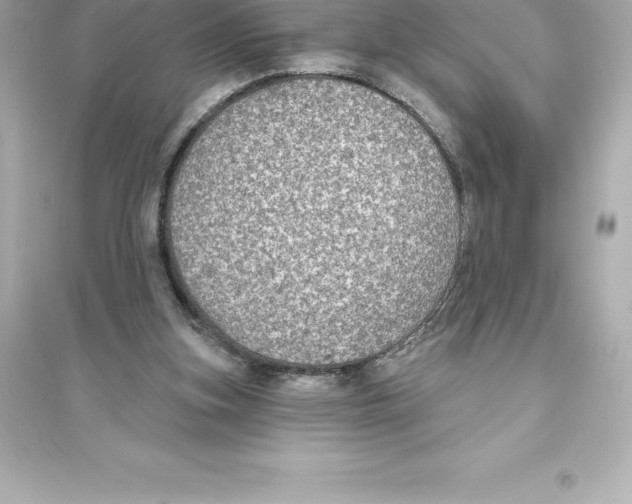 X0000093620155200711121244