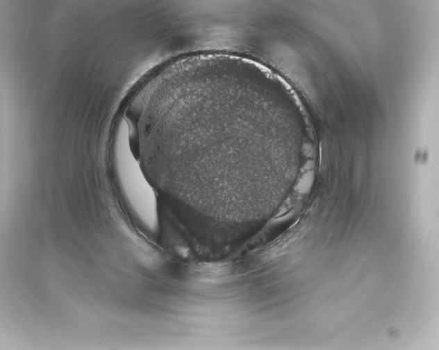 X0000093620156200711121244