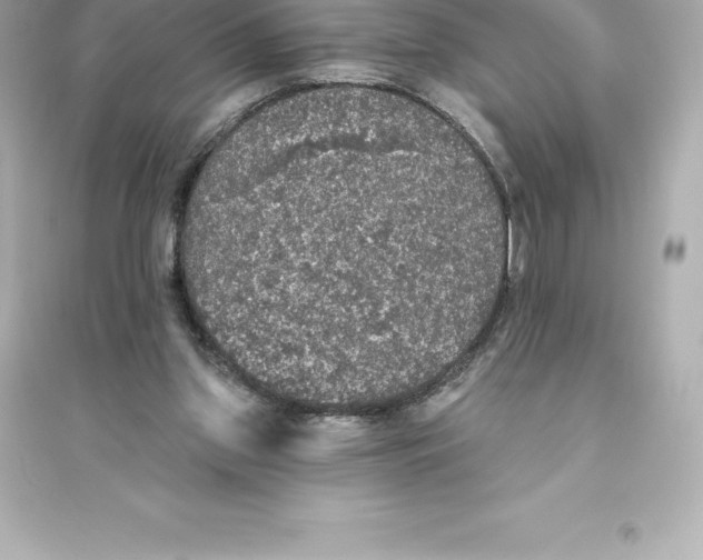 X0000093620157200711121244