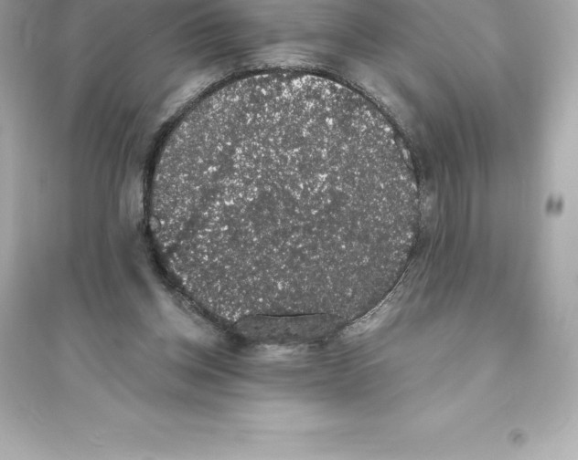 X0000093620158200711121244