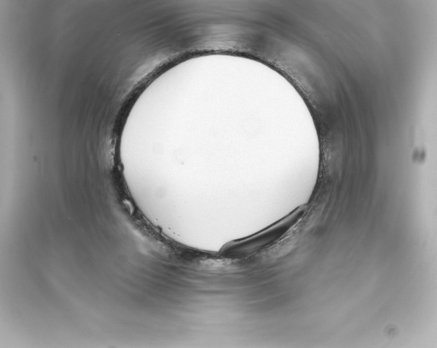 X0000093620160200711121244