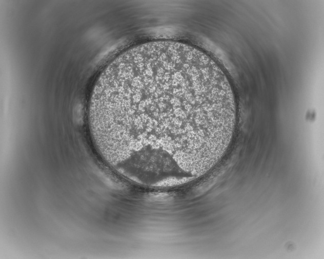 X0000093620161200711121244