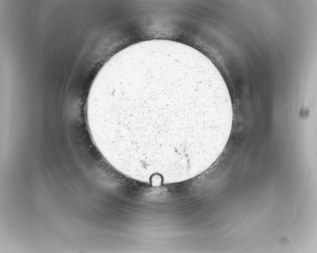 X0000093620162200711121244