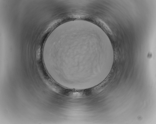 X0000093620163200711121244