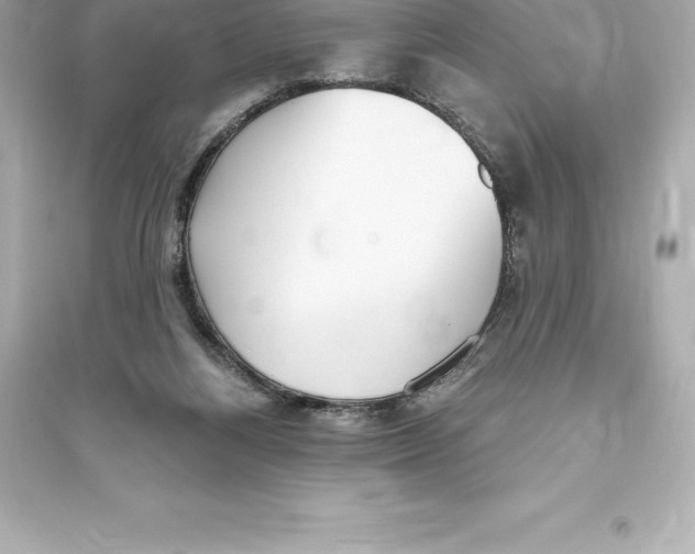 X0000093620164200711121244