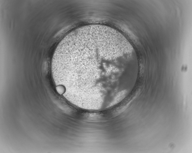 X0000093620165200711121244