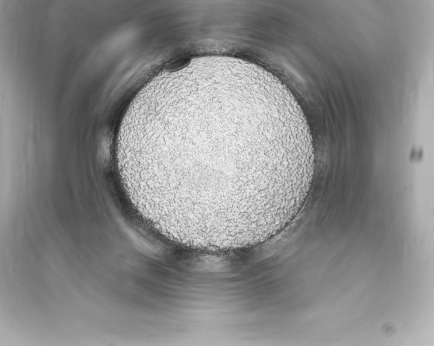 X0000093620166200711121244