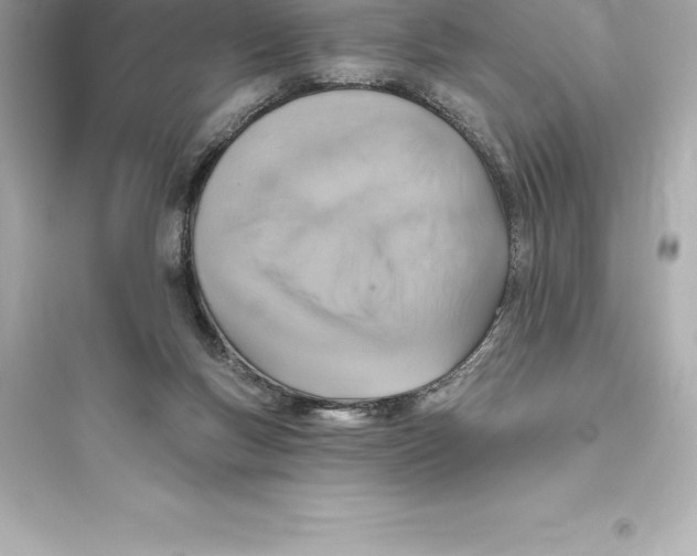 X0000093620167200711121244