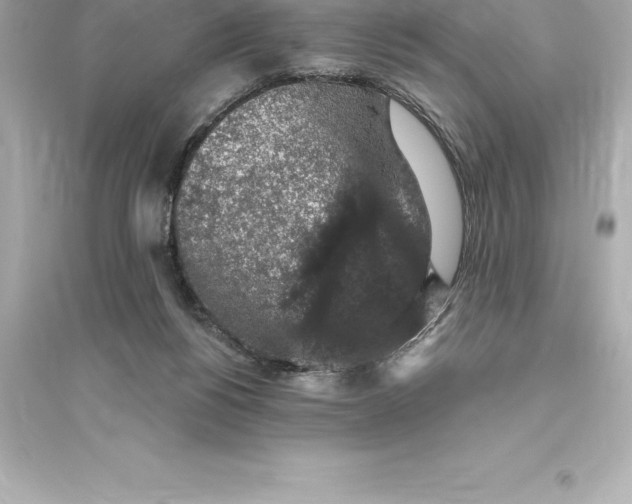 X0000093620168200711121244