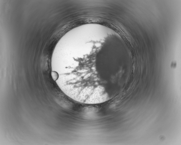 X0000093620169200711121244