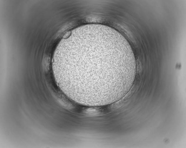 X0000093620171200711121244