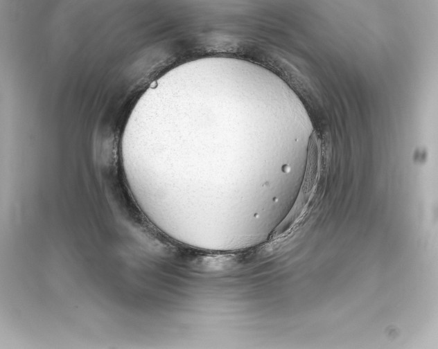 X0000093620172200711121244