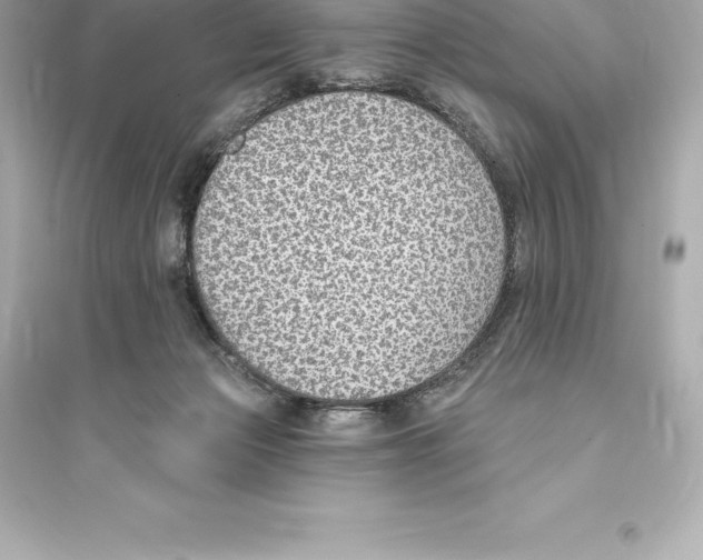 X0000093620173200711121244