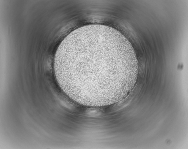 X0000093620175200711121244