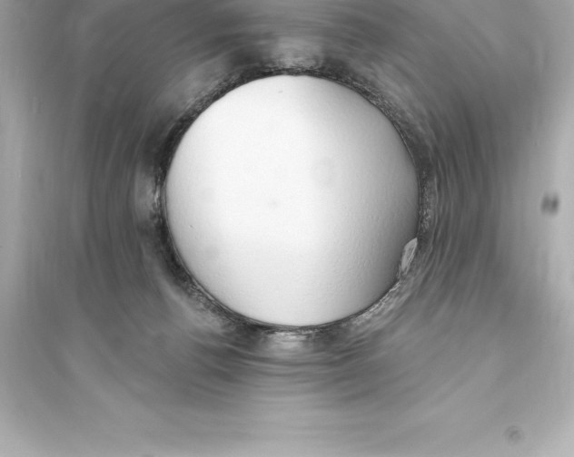 X0000093620176200711121244