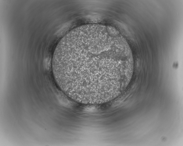 X0000093620177200711121244