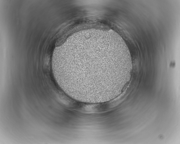 X0000093620178200711121244