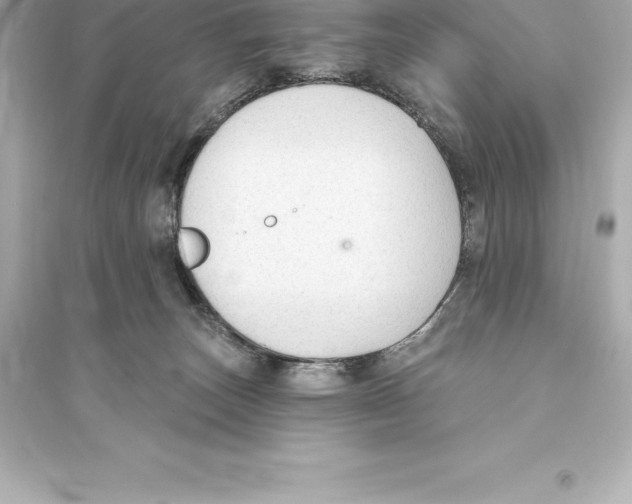 X0000093620179200711121244