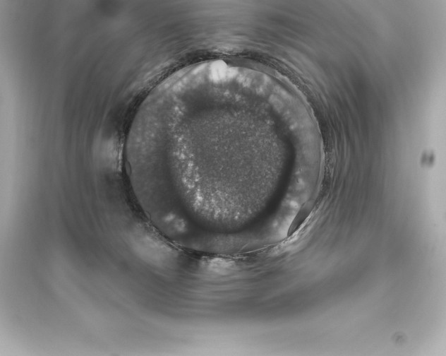 X0000093620180200711121244