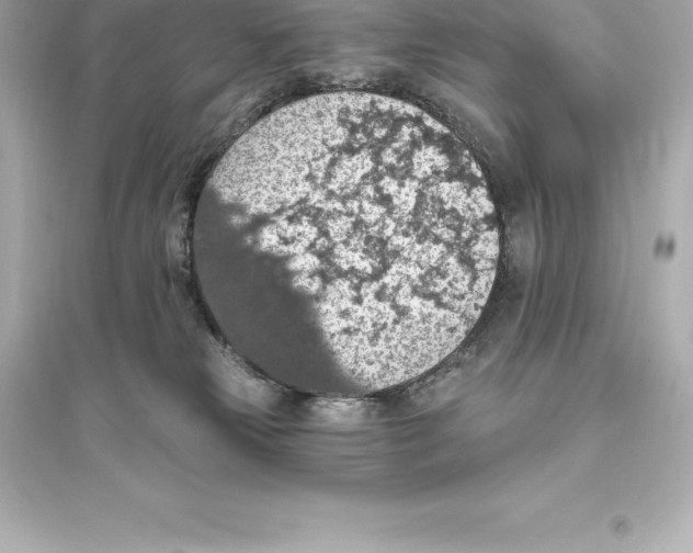 X0000093620181200711121244