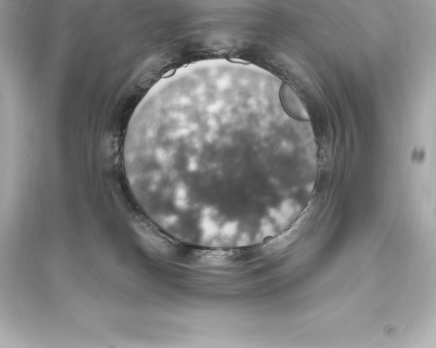 X0000093620182200711121244