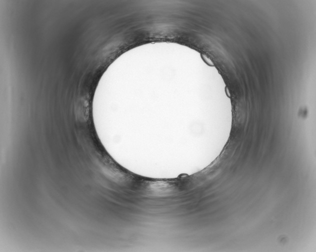 X0000093620183200711121244