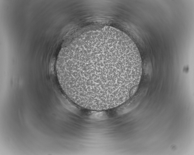 X0000093620185200711121244