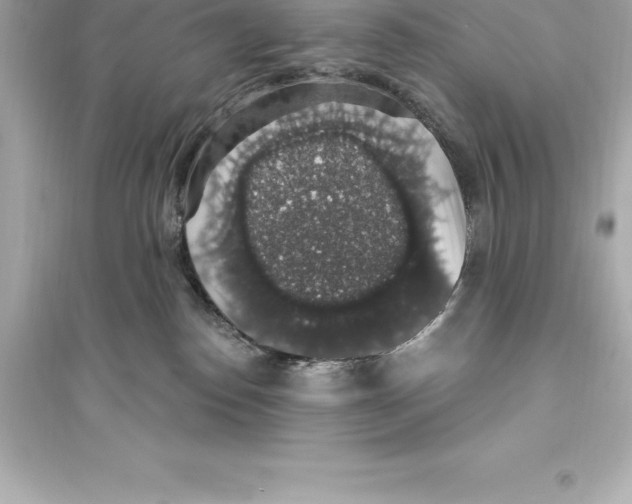 X0000093620186200711121244