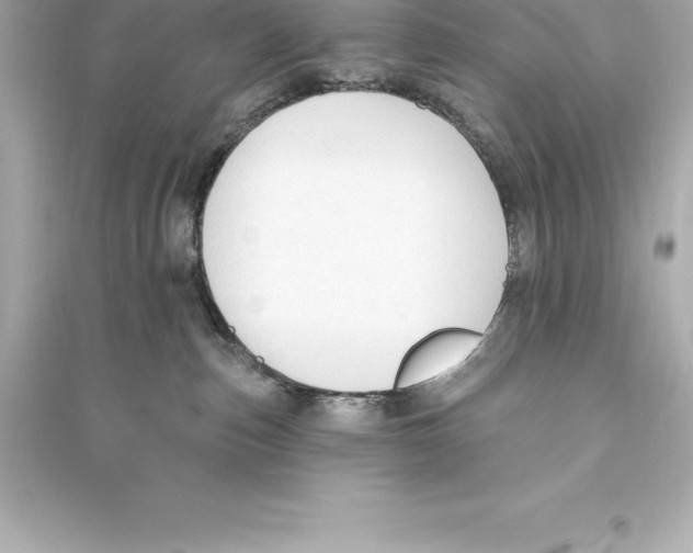 X0000093620187200711121244