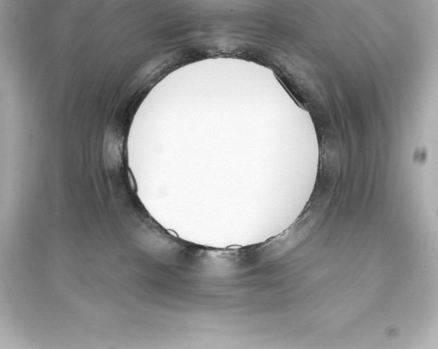 X0000093620188200711121244