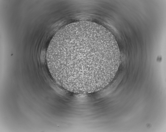 X0000093620189200711121244