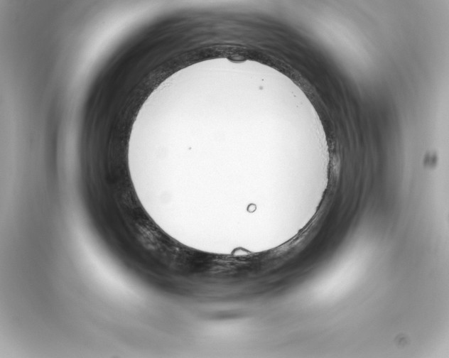 X0000093620190200711121244