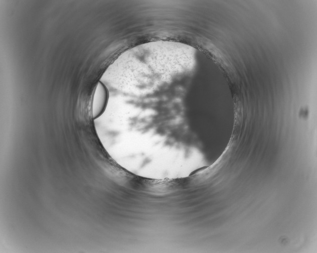 X0000093620191200711121244