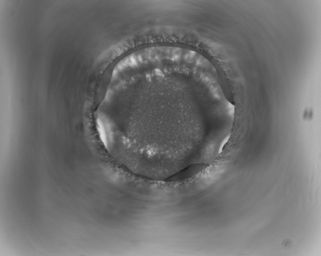 X0000093620192200711121244