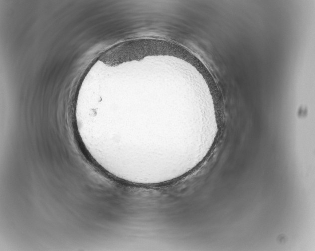 X0000093620193200711121244