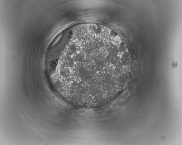 X0000093620194200711121244