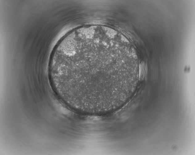 X0000093620195200711121244