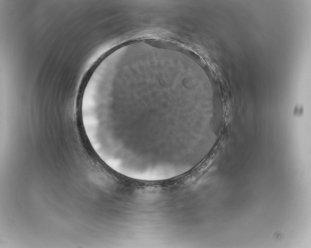 X0000093620196200711121244