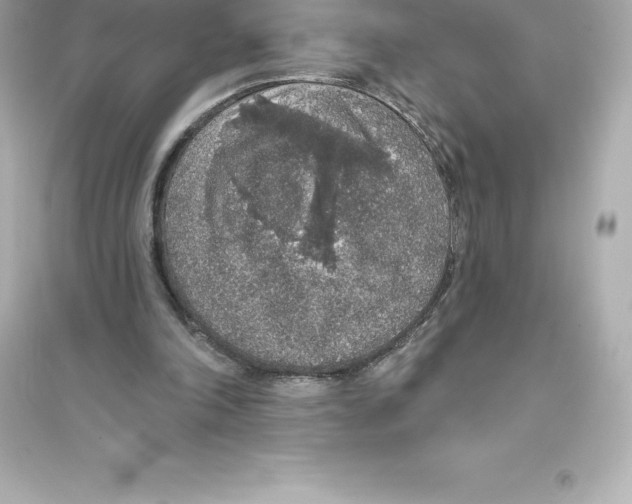 X0000093620198200711121244