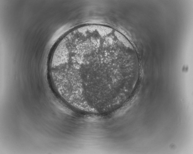 X0000093620199200711121244