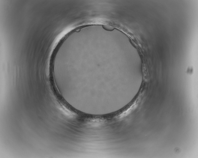 X0000093620200200711121244