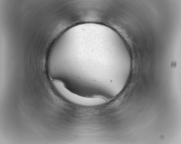 X0000093620201200711121243