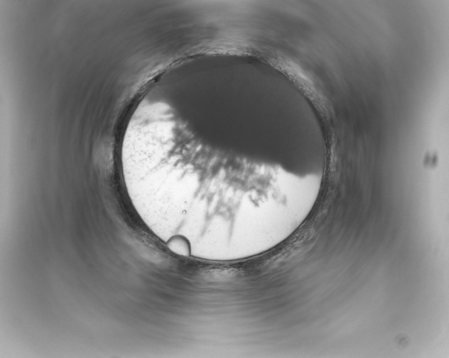 X0000093620202200711121243