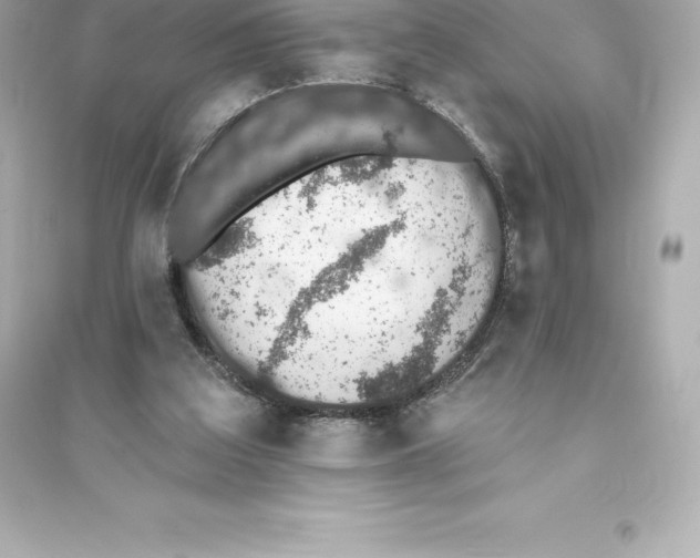 X0000093620203200711121243